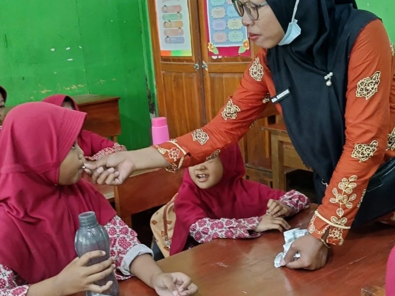 Pemberian Obat cacing